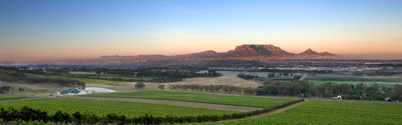 Durbanville-Wine-Route-2_264106acfe0a1e9169800dd9ccbb6e1f